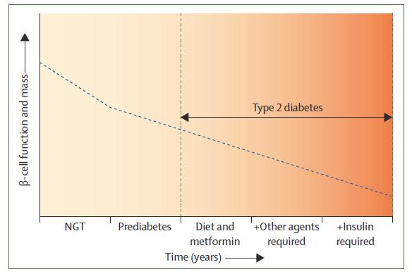 Storia naturale del diabete tipo 2 novembre 2011