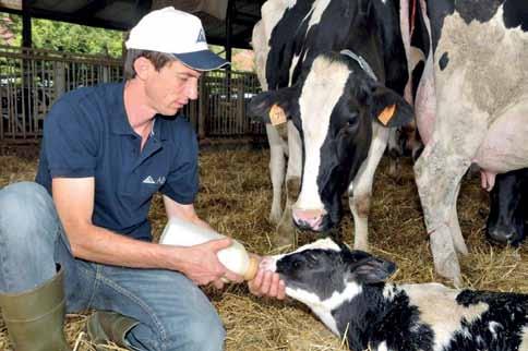 Una corretta gestione sanitaria include la valutazione della biosicurezza interna ed esterna all allevamento, tenendo quindi presente la possibilità di potenziare l immunità specifica dei vitelli con