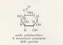 La componente principale è l acido galatturonico (che può formare