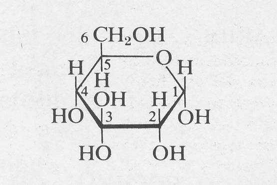 Saccaridi si tratta di carboidrati, cioè sostanze con formula generale C n (H 2 O) n Il più conosciuto è il glucoso.