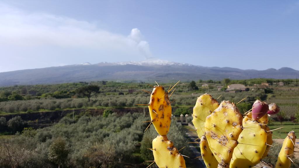 A Sicilia en Primeur 2017, Etna e vini del vulcano Chi ha visitato l Etna sa di trovarsi in un luogo speciale.