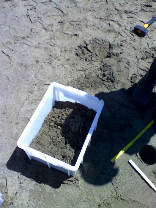 Per ogni punto sono stati prelevati due campioni: il primo corrispondente allo strato di sabbia compreso tra zero e cinque centimetri ed il
