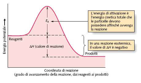 Reazione