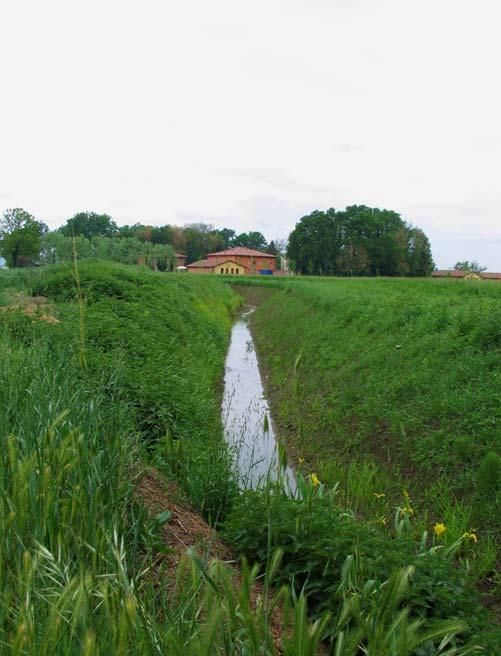 verso Nord con in primo piano la flora che vegeta lungo le