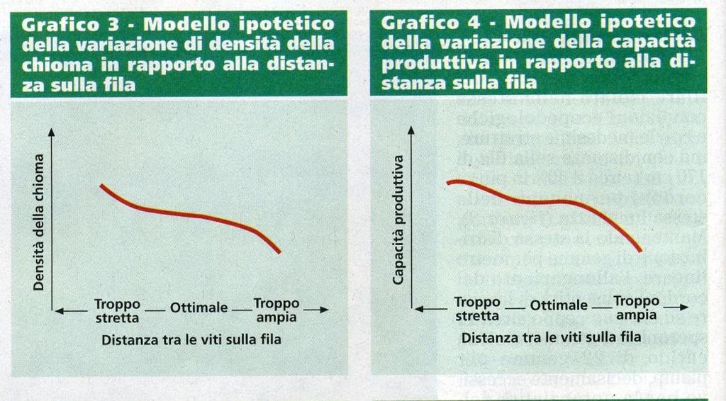 Densità della chioma e capacità produttiva in