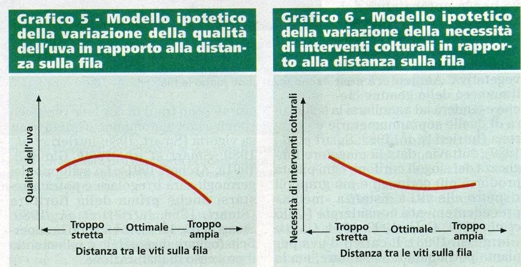 Densità della chioma e capacità produttiva in