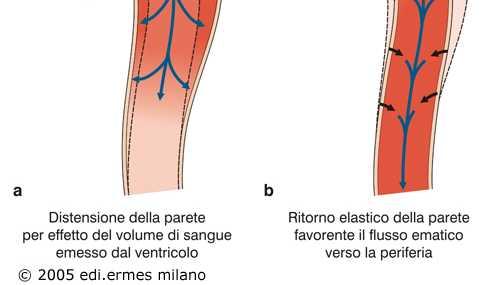 sistolica (~120 mmhg) Durante la diastole, la Pa si riduce progressivamente perché il ritorno elastico della