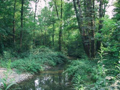 RELAZIONI DI SINTESI DEI CORSI D ACQUA INDAGATI La Fontana Tremarino nasce da risorgive a valle della S.S. 11 e scorre nel territorio comunale di Trecate fino all immissione nel Fiume Ticino dopo aver percorso 2,4 km.