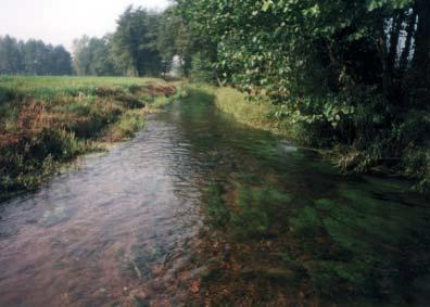 APPLICAZIONE DELL INDICE DI FUNZIONALITÀ FLUVIALE (IFF) AL SISTEMA IDROGRAFICO DEL FIUME TICINO le con elementi naturali, il fondo dell alveo è movibile a tratti. Il livello di funzionalità è III.