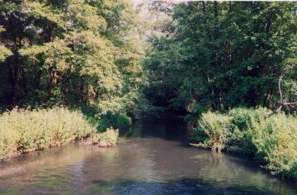 RELAZIONI DI SINTESI DEI CORSI D ACQUA INDAGATI La Roggia Cerana si origina dal Torrente Terdoppio in corrispondenza della derivazione della Roggia Mora in Comune di Sozzago, confluendo dopo un