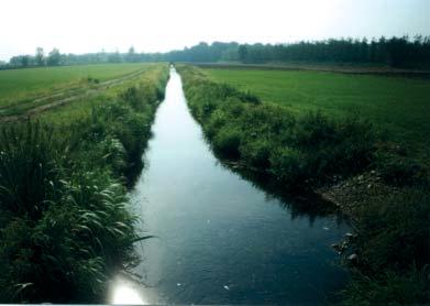 APPLICAZIONE DELL INDICE DI FUNZIONALITÀ FLUVIALE (IFF) AL SISTEMA IDROGRAFICO DEL FIUME TICINO Il Cavo Comi nasce da una derivazione della Roggia Pratomaggiore a monte di Cascina Castagnolino in