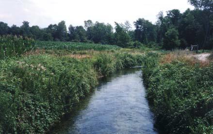 RELAZIONI DI SINTESI DEI CORSI D ACQUA INDAGATI Lo Scaricatore Ramaccio nasce da una serie di polle sorgive nei pressi della Cascina Borda a una quota di 103 m s.l.m. in Comune di Cerano e confluisce nel Ramo dei Prati a una quota di 99 m s.