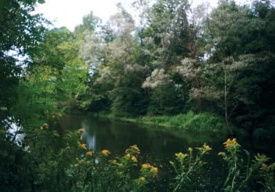 APPLICAZIONE DELL INDICE DI FUNZIONALITÀ FLUVIALE (IFF) AL SISTEMA IDROGRAFICO DEL FIUME TICINO Il Ramo Portighetto origina da una lanca del Fiume Ticino in prossimità di Cascina Castagnolino in