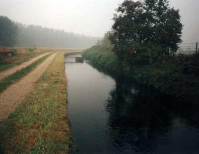 RELAZIONI DI SINTESI DEI CORSI D ACQUA INDAGATI radici alberi). Le rive sono coperte da erbe, mentre le strutture di ritenzione sono scarse.