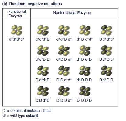 Mutazioni dominanti negative Alcuni alleli