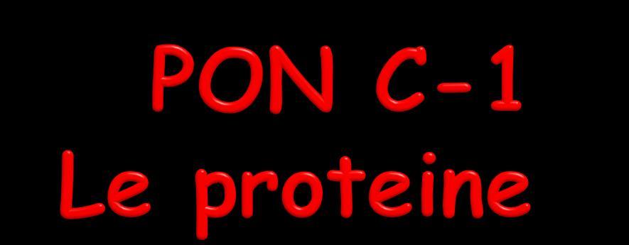 esperto prof. Ciro Formica Immagini e testi tratti dai website di: genome.wellcome.ac.uk, dnaftb.org, unipv.