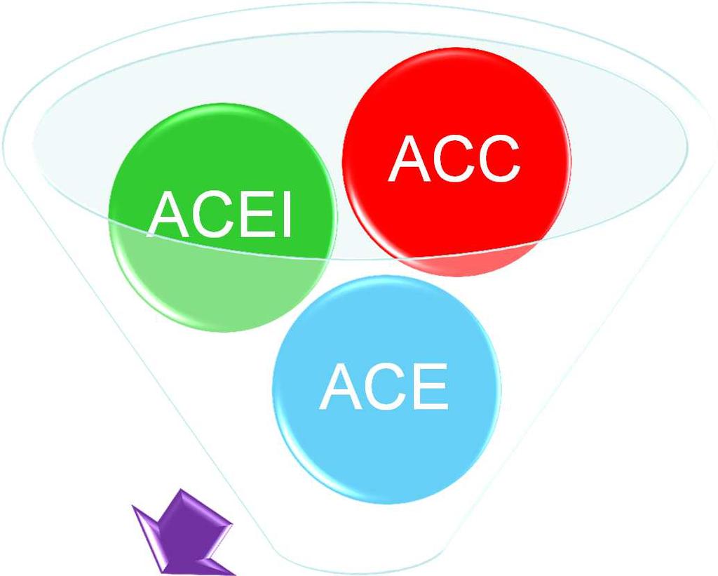 e Fondamentale ACCM/ACC Ordinary per Rete Comp.