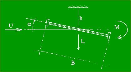 Figura 11- Schemi rappresentativi del Modello-sezione In questo modello si fanno le seguenti ipotesi: - il flusso incidente è bidimensionale, incomprimibile e laminare; - la forma del profilo è