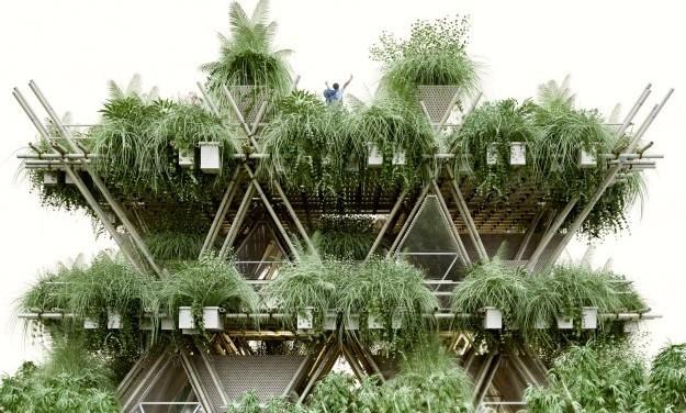 Illustrazione 3: Progetto della casa di bambù modulare (greenbuiding.it) Illustrazione 4: Esempio di casa di bambù modulare (greenbuilding.
