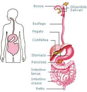 DIPARTIMENTO DI SCIENZE E TECNOLOGIE 2.