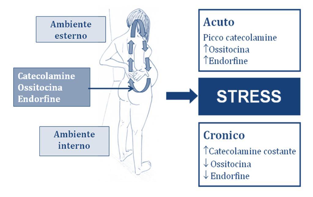 Conoscenza approfondita dei meccanismi