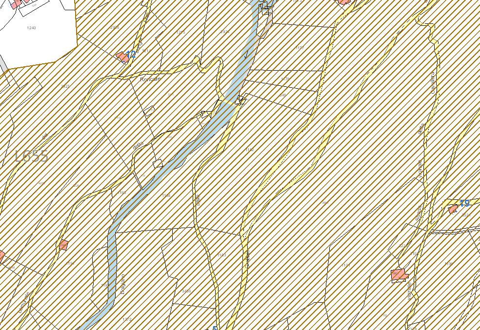 Intervento 3 Mappale in vincolo idrogeologico strada