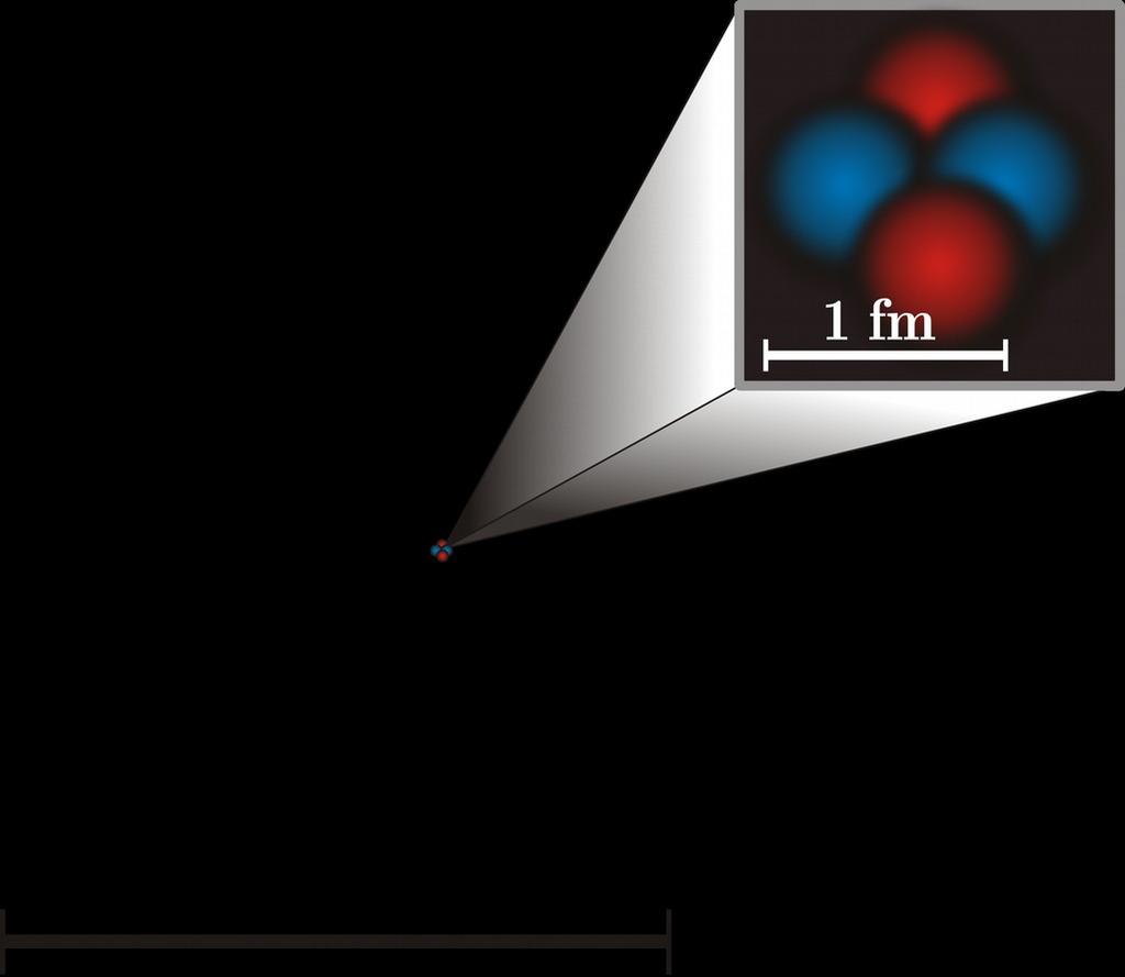 Dimensioni del nucleo Il volume dei nuclei cresce linearmente con