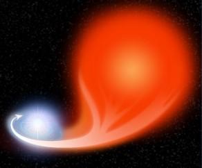 Novae Le novae sono originate dalle Variabili Cataclismiche (sistemi binari interagenti molto stretti, composti da una nana bianca e da una nana di sequenza principale da cui fuoriesce materia che