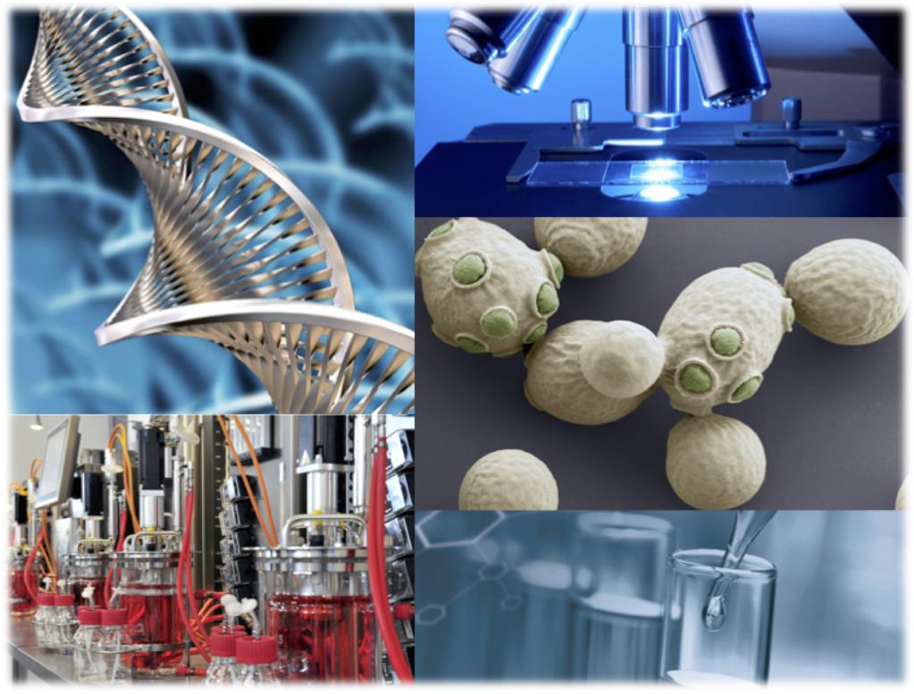 Biotecnologie Industriali Laurea
