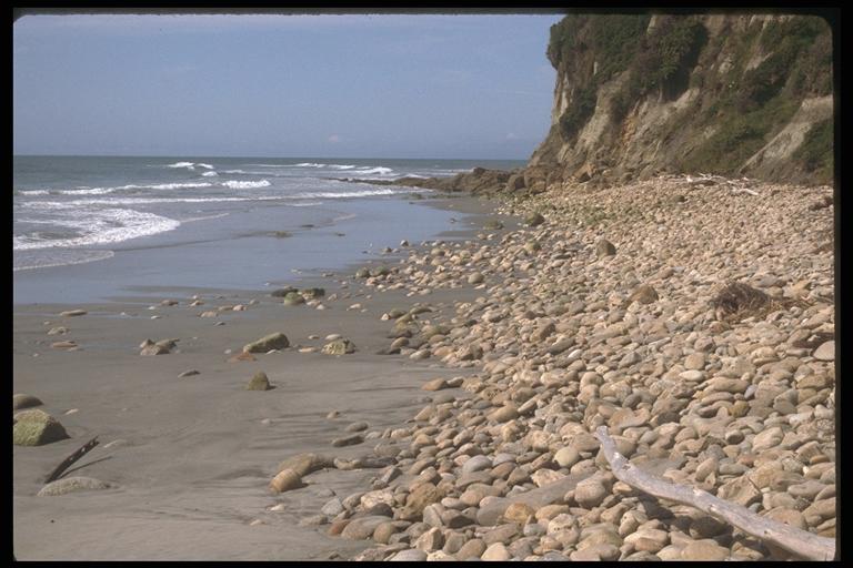 IL PROFILO DI SPIAGGIA Sabbia molto fine Sabbia fine Sabbia media Sabbia grossa Sabbia molto grossa