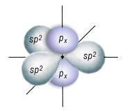 Nell'ibridazione sp 2, vengono ibridati l'orbitale 2s e solo due orbitali 2p, in modo da formare tre orbitali ibridi equivalenti, che si dispongono su un piano con angoli di 120 l'uno dall'altro.