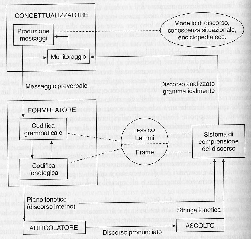 Modello olistico-funzionale di Levelt (1989) Rappresentazione schematica del parlante come elaboratore di