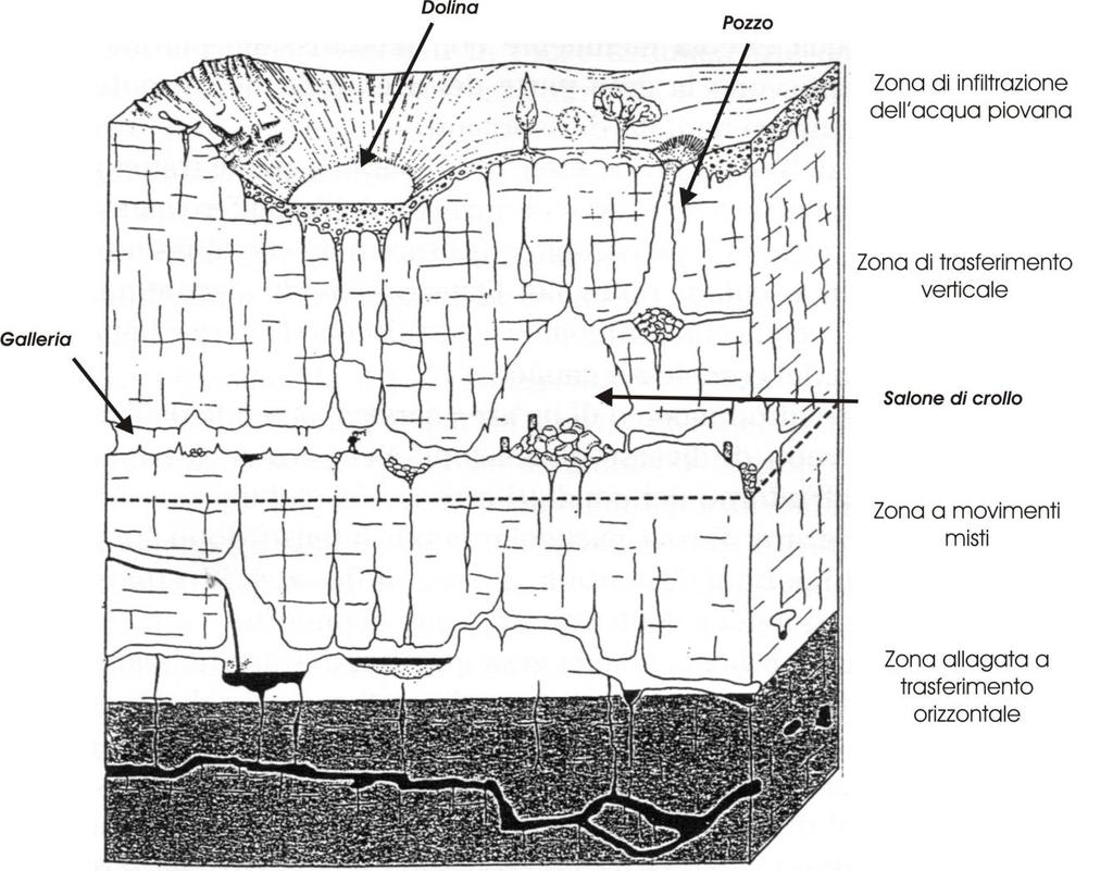 Le forme del paesaggio carsico sotterraneo (forme ipogee) Fra le forme sotterranee si possono annoverare le grotte, sia a decorso verticale (pozzi) sia orizzontale (gallerie).