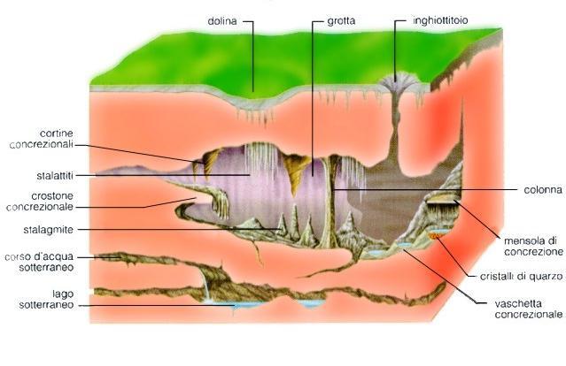 Le concrezioni di grotta Il termine concrezioni indica in generale tutte quelle strutture di carbonato di calcio che decorano le grotte.