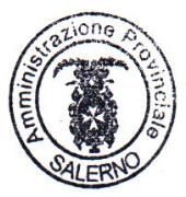 C.I.D. 35669 PROVINCIA DI SALERNO Sett. Patrimonio, Edilizia e Programmazione Rete Scolastica Dir. Lizio ing. Angelo Michele OGGETTO: CONSUMI IDRICI LIQUIDAZIONE FATTURE n (30)- II trim.