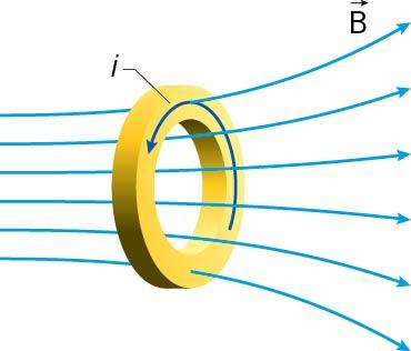 Disegna il vettore forza che si ottiene su un piccolo tratto di bobina e spiega perché la risultante delle forze sull'intera bobina non è nulla.