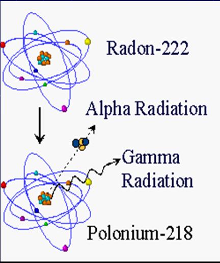 Modello di Atomo L atomo è composto da : Nucleo protoni (+) neutroni ( 0 ) Elettroni (