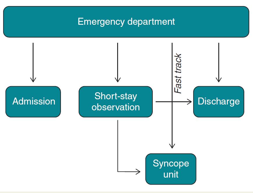 Consecutive patients referred to the ED of Careggi Hospital for T-LOC in