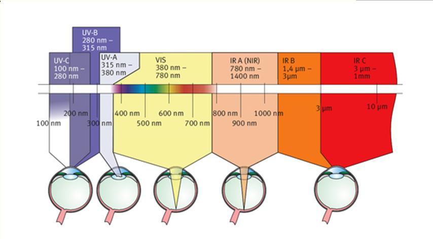 Occhi: struttura più critica Effetti Biologici ROA: pelle e occhi Lunghezza d onda (nm) Tipo Occhio Pelle 100-280 UV C 280-315 UV B fotocheratite foto congiuntivite Eritema (scottatura della pelle)