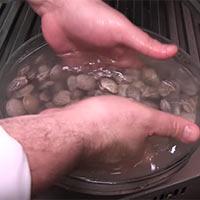 Mettete i lupini di mare in una ciotola e per prima cosa lavateli accuratamente sotto l acqua corrente fredda; dopodiché