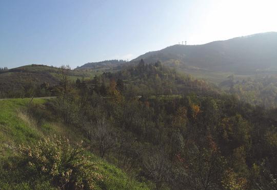 Tra i territori che lambiscono la via Emilia, Bologna e la sua area metropolitana (composta dai comuni della prima cintura del capoluogo, tra i quali si annovare anche Zola Predosa) hanno il legame