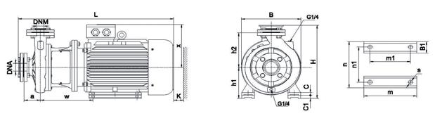 ELETTROPOMPA CENTRIFUGA MONOBLOCCO CENTRIFUGAL MONOBLOC ELECTRIC PUMP ELECTROPOMPE CENTRIFUGE MONOBLOC SERIE SERIES C DNa DNm a h2 w x B1 c h1 m m1 n n1 s B C2L1C 2 5 8 21 122 1 5 16 12 1 7 24 19 14