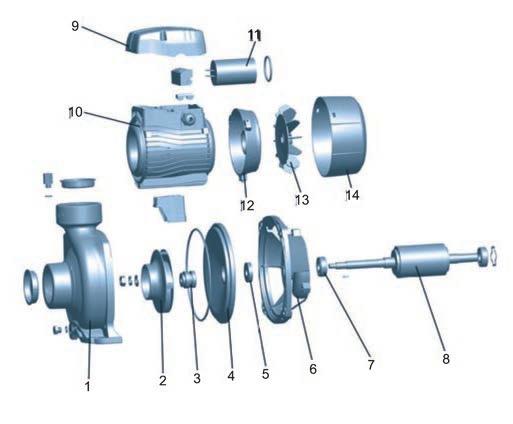 Diagramma prestazioni Hydraulic Performance Curve Prevalenza H (mt) Total manometric head H (m) Elettropompe Portata Q Capacity Q Descrizione componenti Materials Table Pos. Pos. Part.