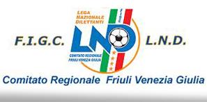 Stagione 2015/2016 Allievi Provinciali Data di inizio: 27-09-2015 Data di fine: 17-04-2016 Dopo il buon 4 posto de