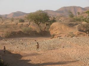 Tropicalizzazione del clima Spostamento a latitudini