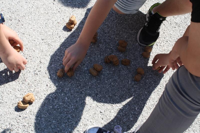 I ragazzi della I A preparano i