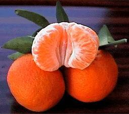 Clementina Incrocio tra mandarino e arancio amaro.