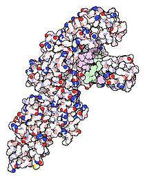 Come modificare il Dna Vari processi sono stati creati per modificare il Dna di un essere in vita e quello più efficace al momento è quello che utilizza un processo naturalmente messo in atto da