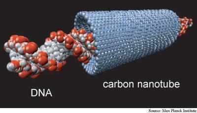 Nanotecnologie Il DNA è utilizzato anche nel campo delle nanotecnologie poiché presenta proprietà di riconoscimento molecolare che lo rendono in grado di auto-assemblarsi in