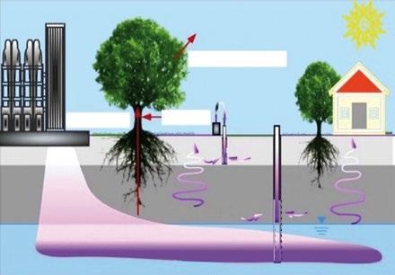 Questa tecnica, che prevede analisi in campo dei gas tramite fiale colorimetriche, è stata definita in vivo e consente di selezionare gli esemplari più contaminati nei quali condurre prioritariamente